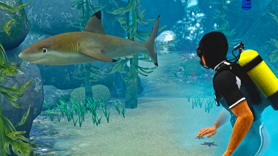 Зустріч з акулою